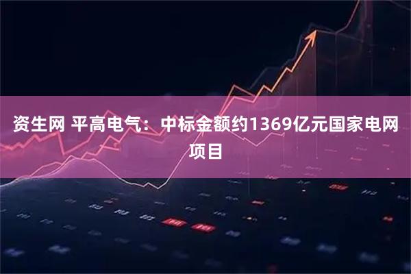 资生网 平高电气：中标金额约1369亿元国家电网项目