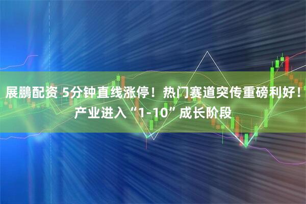 展鵬配资 5分钟直线涨停！热门赛道突传重磅利好！产业进入“1-10”成长阶段