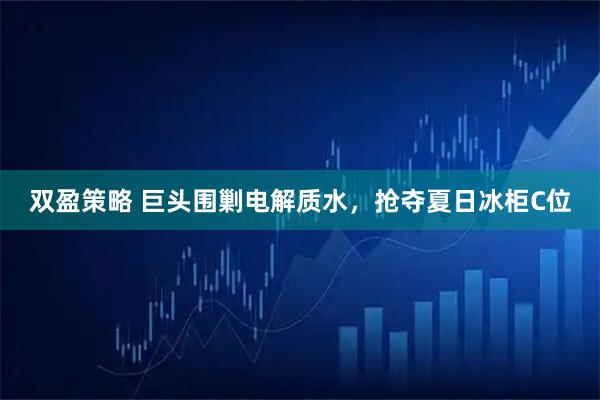 双盈策略 巨头围剿电解质水，抢夺夏日冰柜C位