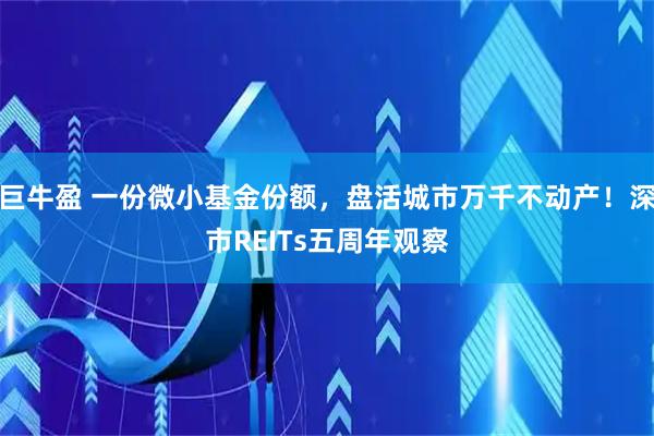巨牛盈 一份微小基金份额，盘活城市万千不动产！深市REITs五周年观察