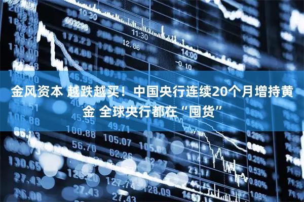 金风资本 越跌越买！中国央行连续20个月增持黄金 全球央行都在“囤货”